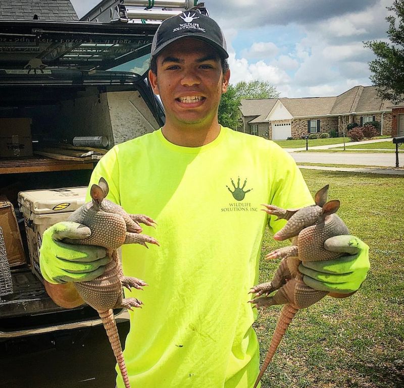 Contact A Wildlife Professional For Removal