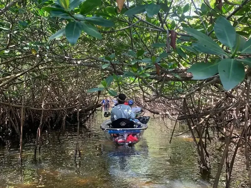 Local County Rules Can Differ, Adding To Property Owner Frustration