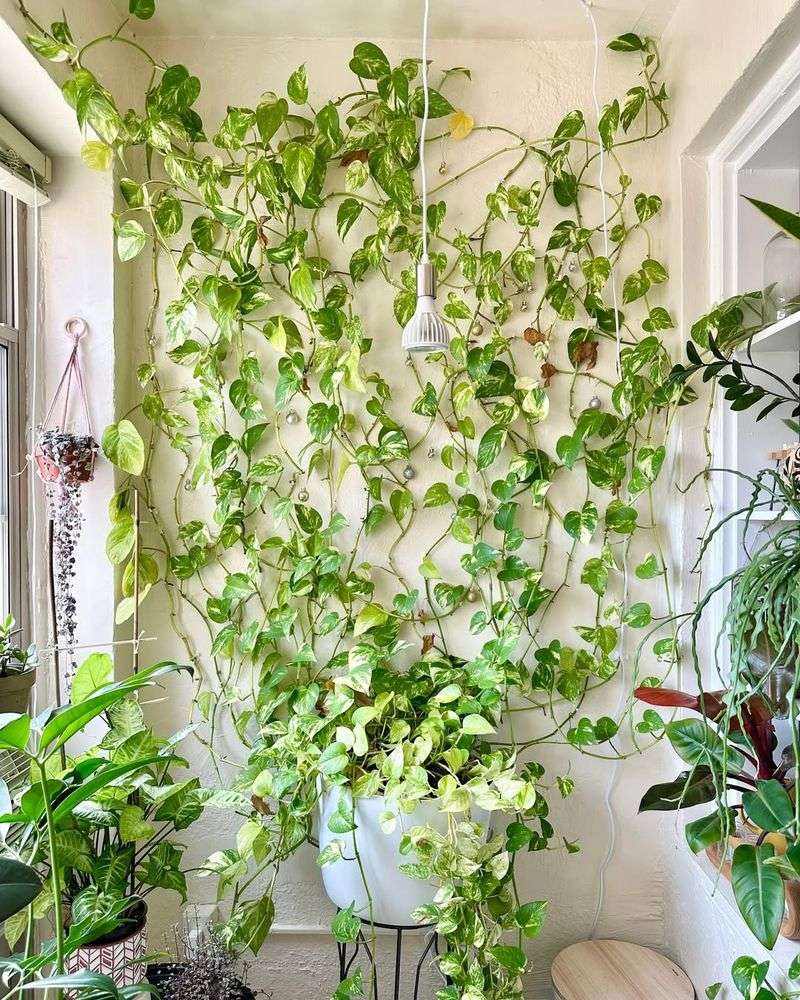 Costs Less Than Your Morning Coffee