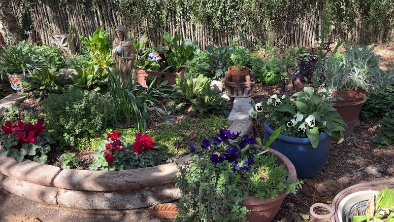 Tucson Botanical Gardens' Barrio Garden