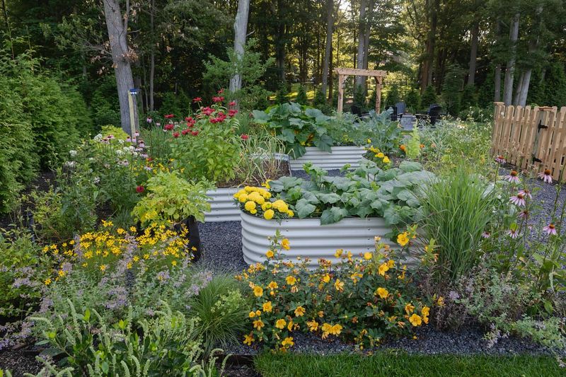 Companion Planting Around Vegetables