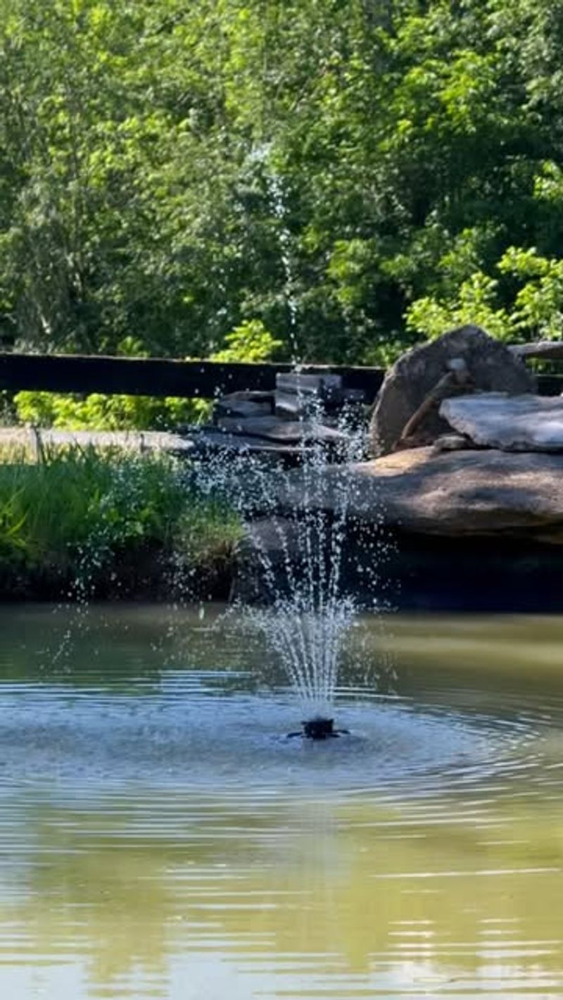 Wildlife Visits Bring Unexpected Joy