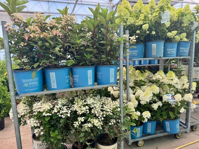 Educational Resources And Expert Guidance