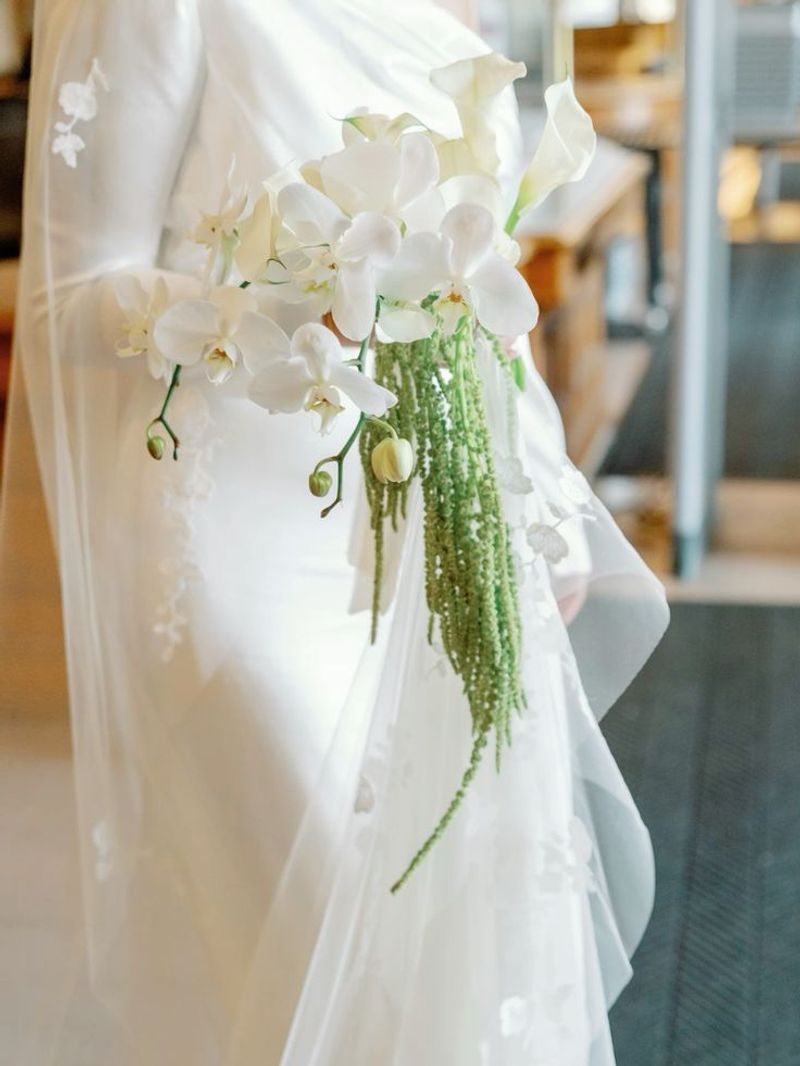 Amaranthus Performs Well In Florida Heat And Humidity