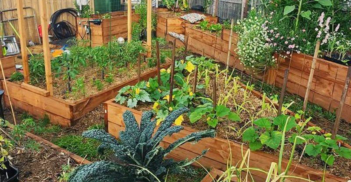 Florida Seniors’ Love Of Gardening Is Inspiring A New Wave Of Gardeners