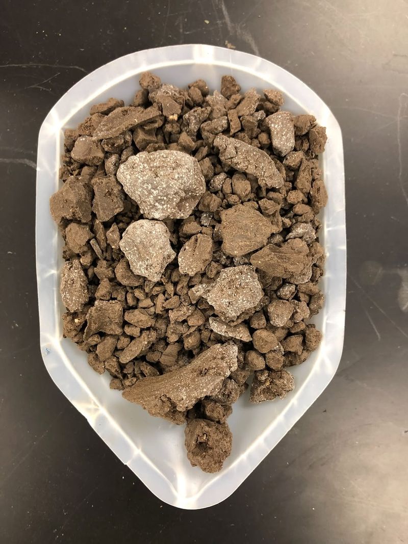 Test Your Soil Before Making Changes