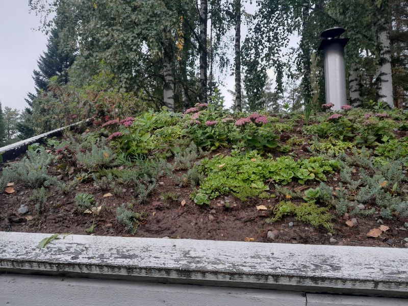 Compliance with Green Building Standards and Incentives