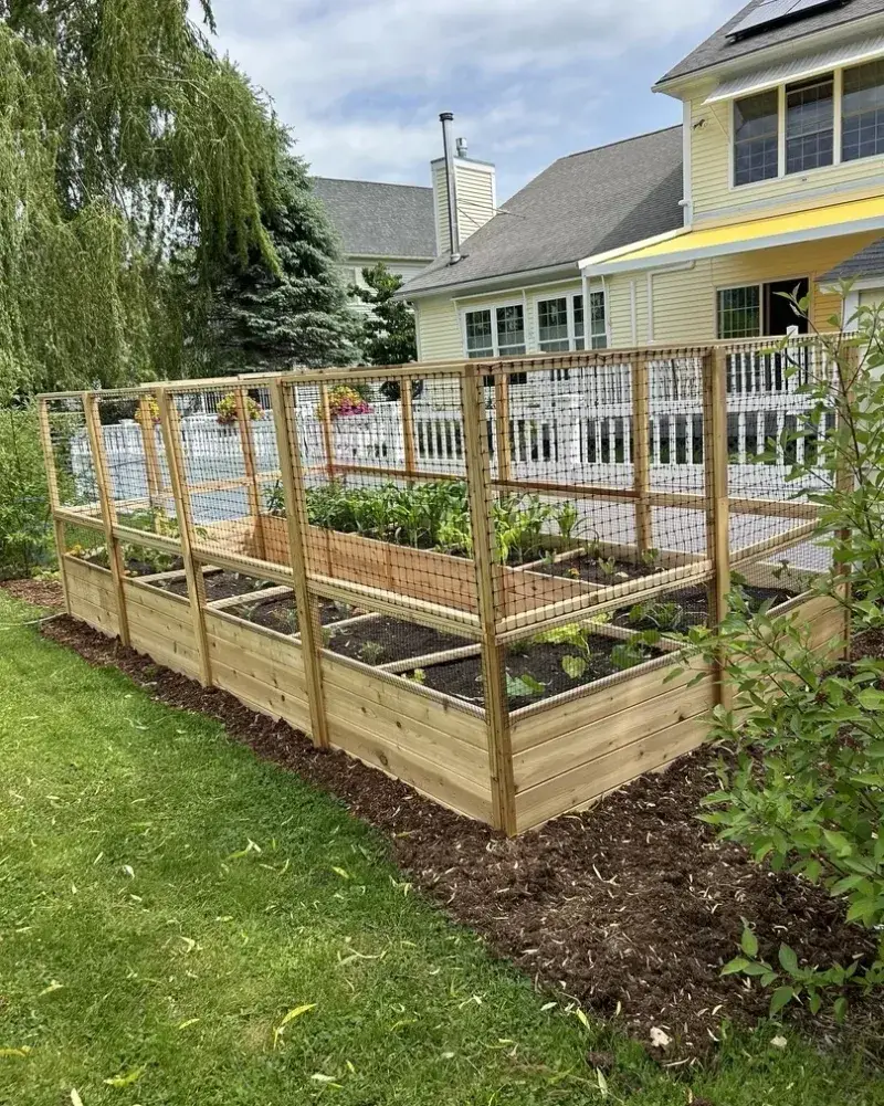 Elevating Barriers: Keeping Rodents Out When Snow Piles Up