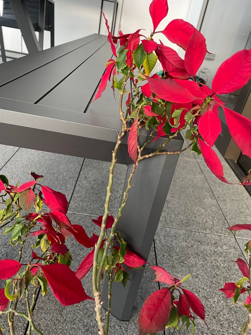 Fertilizing At The Wrong Time