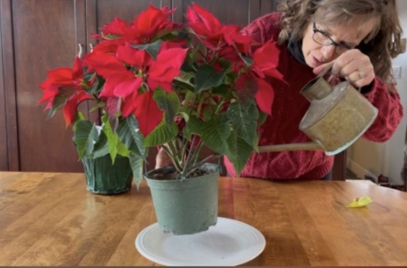 Using Cold Water Straight From The Tap