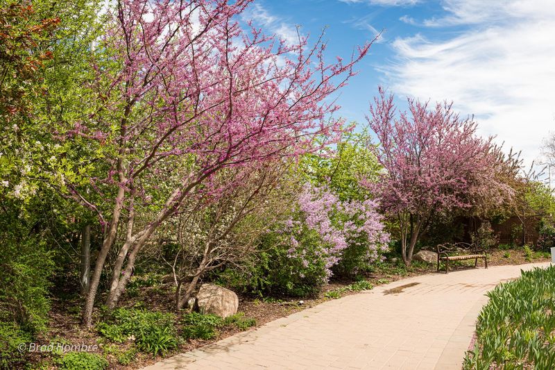 Xeriscape Demonstration Garden Teaches Water Conservation