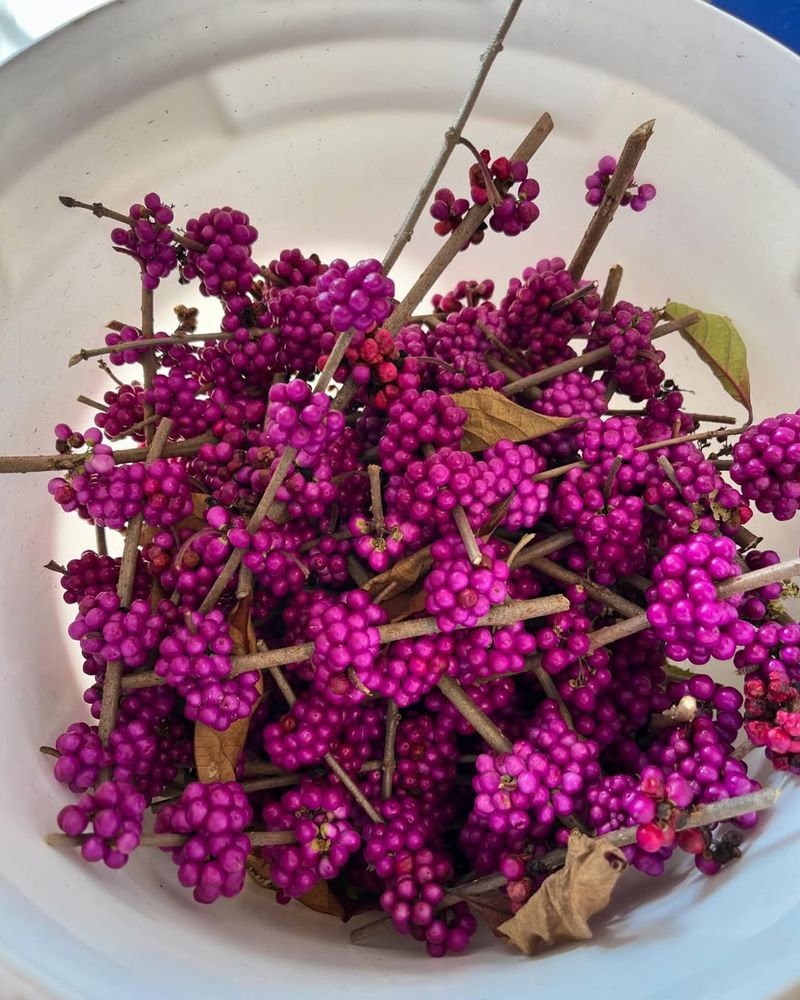 Simple To Propagate And Share