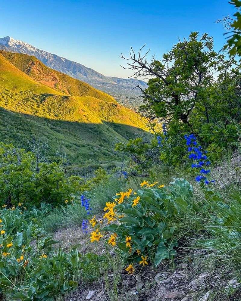 Natural Area Hiking Trails