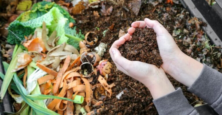 compost (featured image)