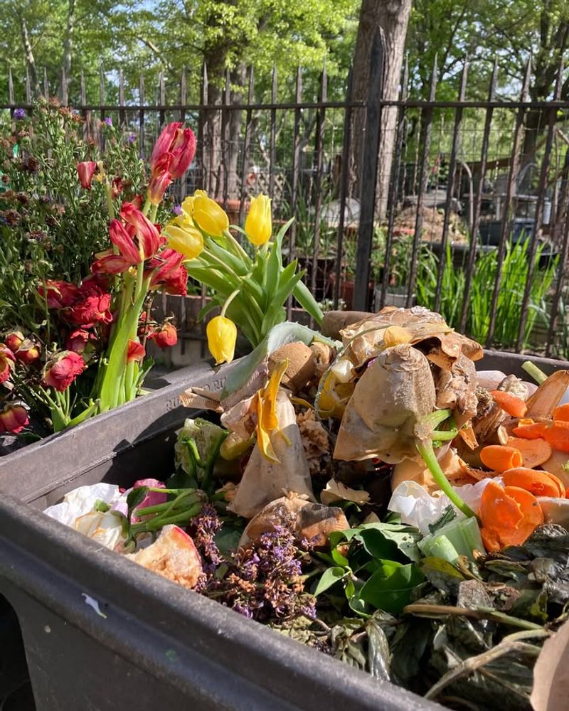 Start Composting With Kitchen Scraps