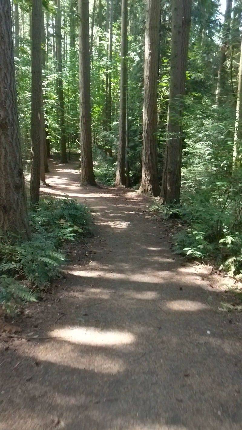 Lake City Thornton Creek Park