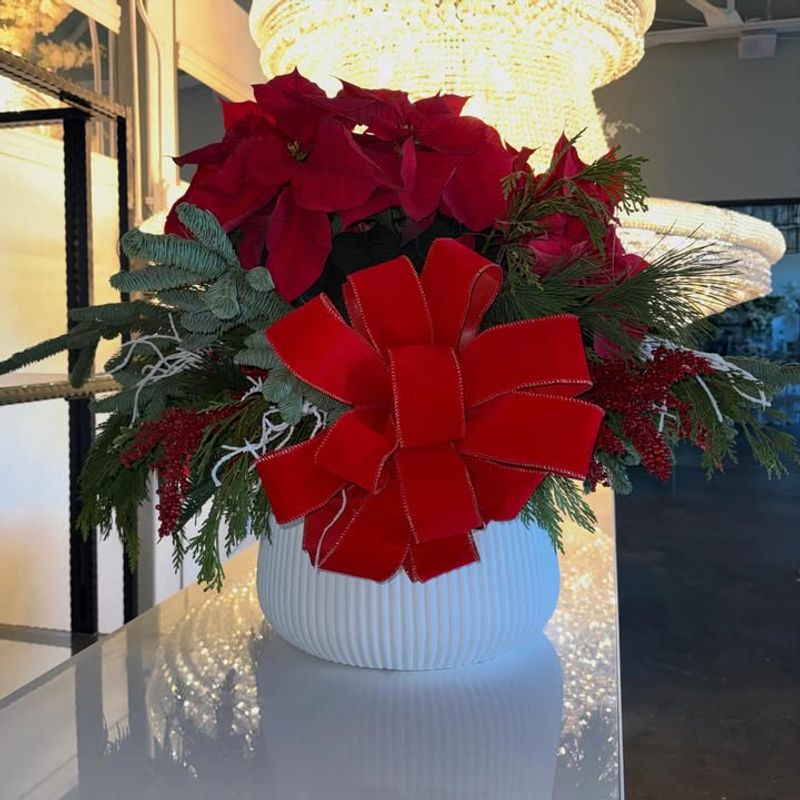 Used As Seasonal Gifts Instead Of Cut Flowers