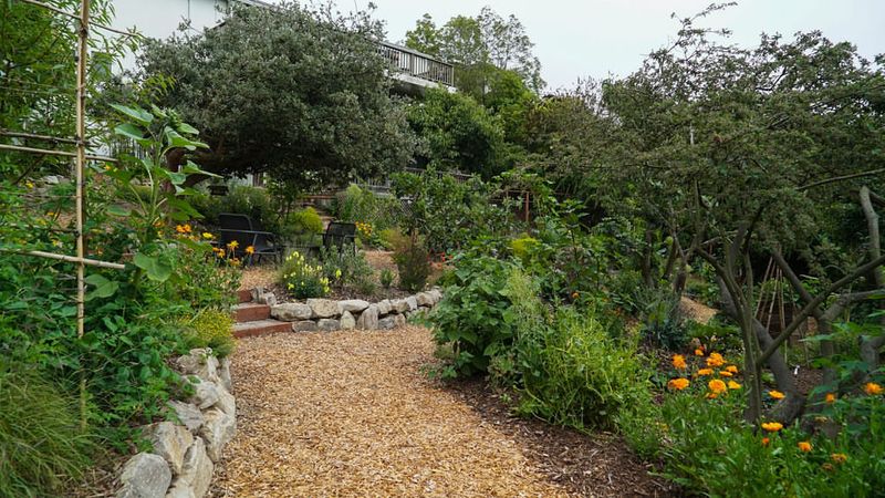 Slashing Your Water Bill Dramatically