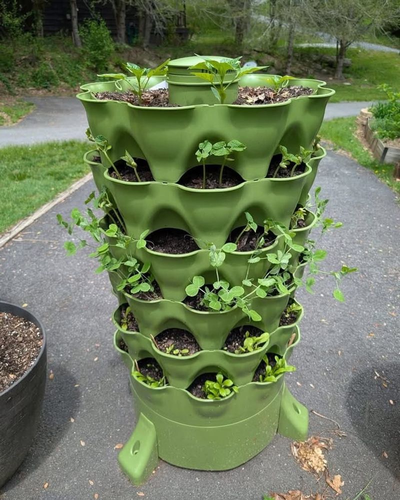 Educational Tool for Teaching Kids Responsibility