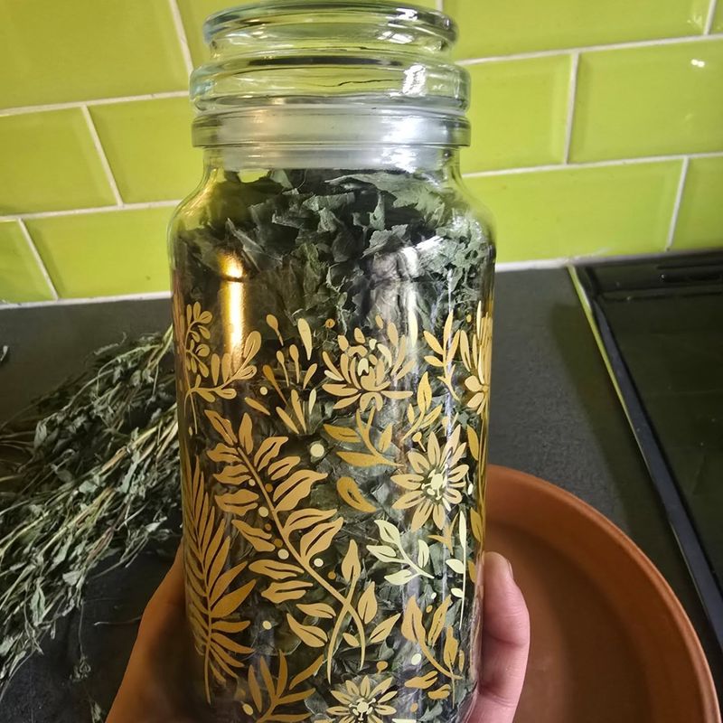 Drying For Winter Use