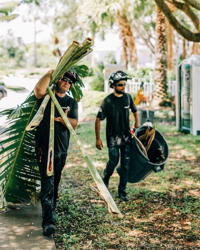 Professional Help Protects Everyone