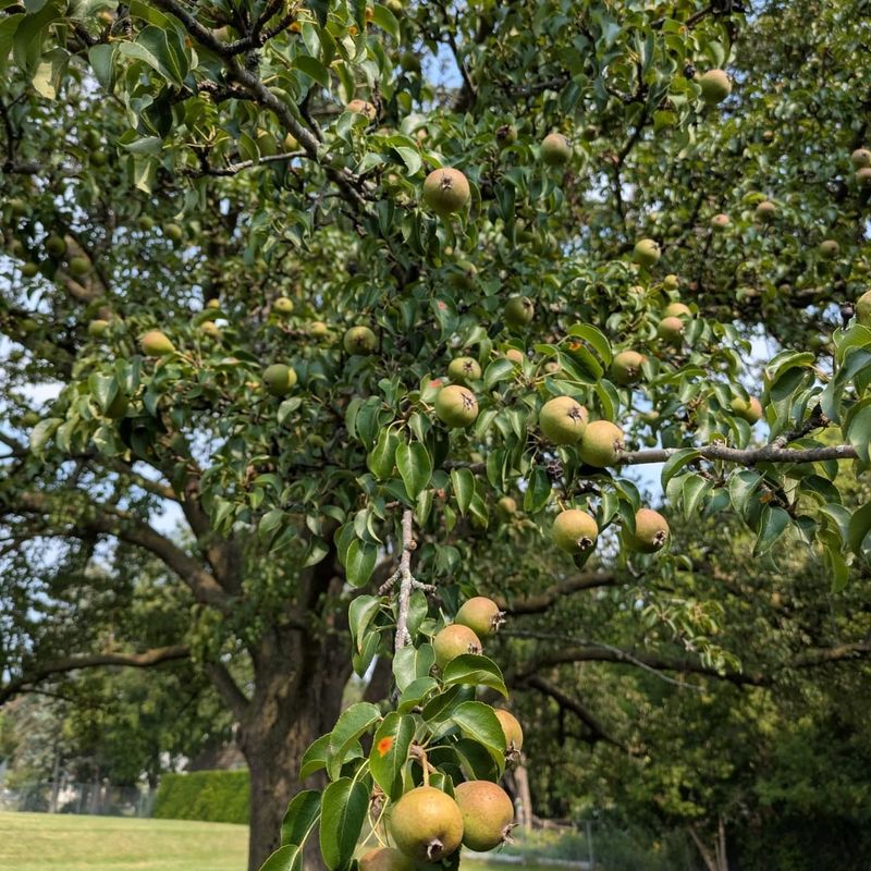 Documentation Protects Everyone