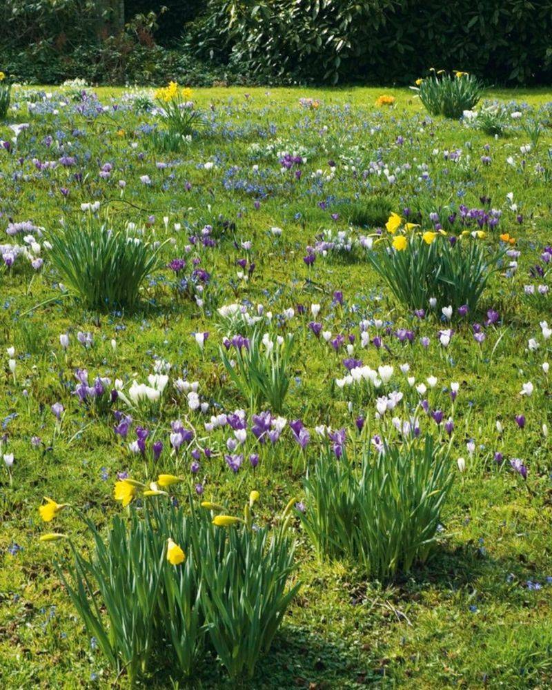 Spring Recovery Requires Immediate Action And Patience