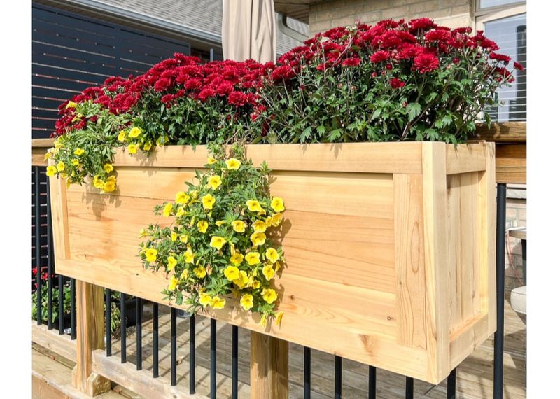 Decorative Planter Boxes