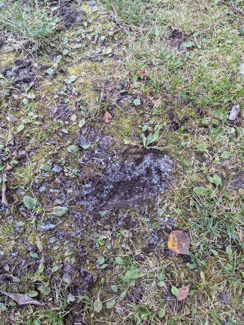 Morning Sunlight Enhances The Blue Appearance