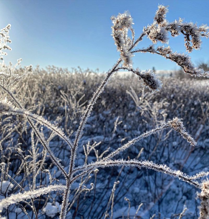 Local Tourism Sees Unexpected Winter Boost