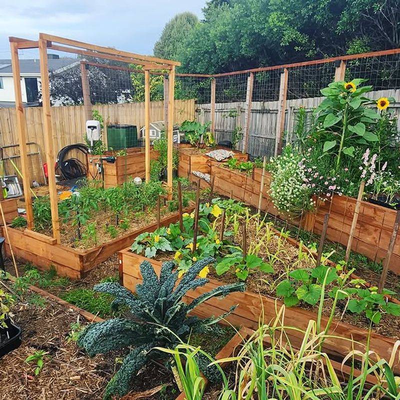 Growing For Enjoyment Not Perfection