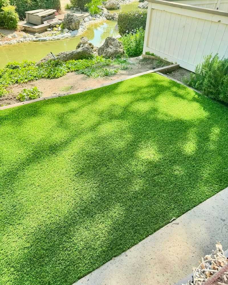 High-Water-Use Turf Grass Lawns