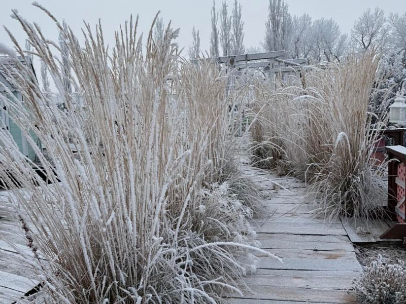 Assess The Damage Before Taking Action