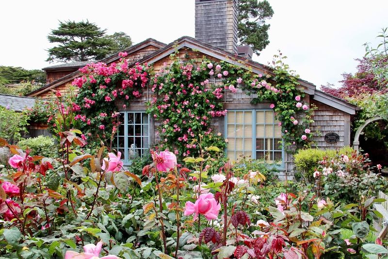 Cottage-Style Flower Gardens