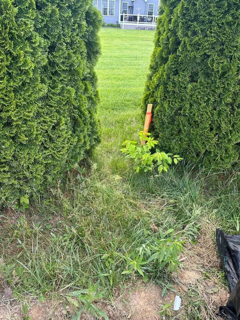 Locate Your Exact Property Boundaries First