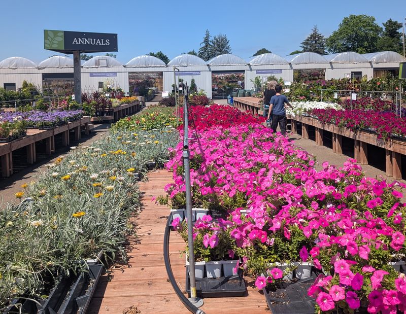Bachman's Floral, Home & Garden – Multiple Twin Cities Locations