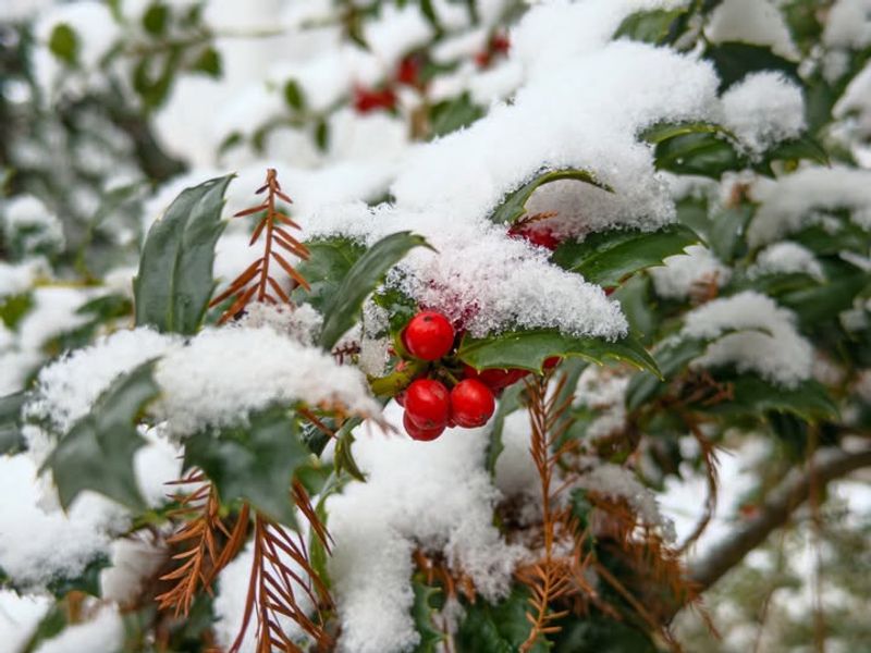 Fewer Crowds Allow A Peaceful Experience