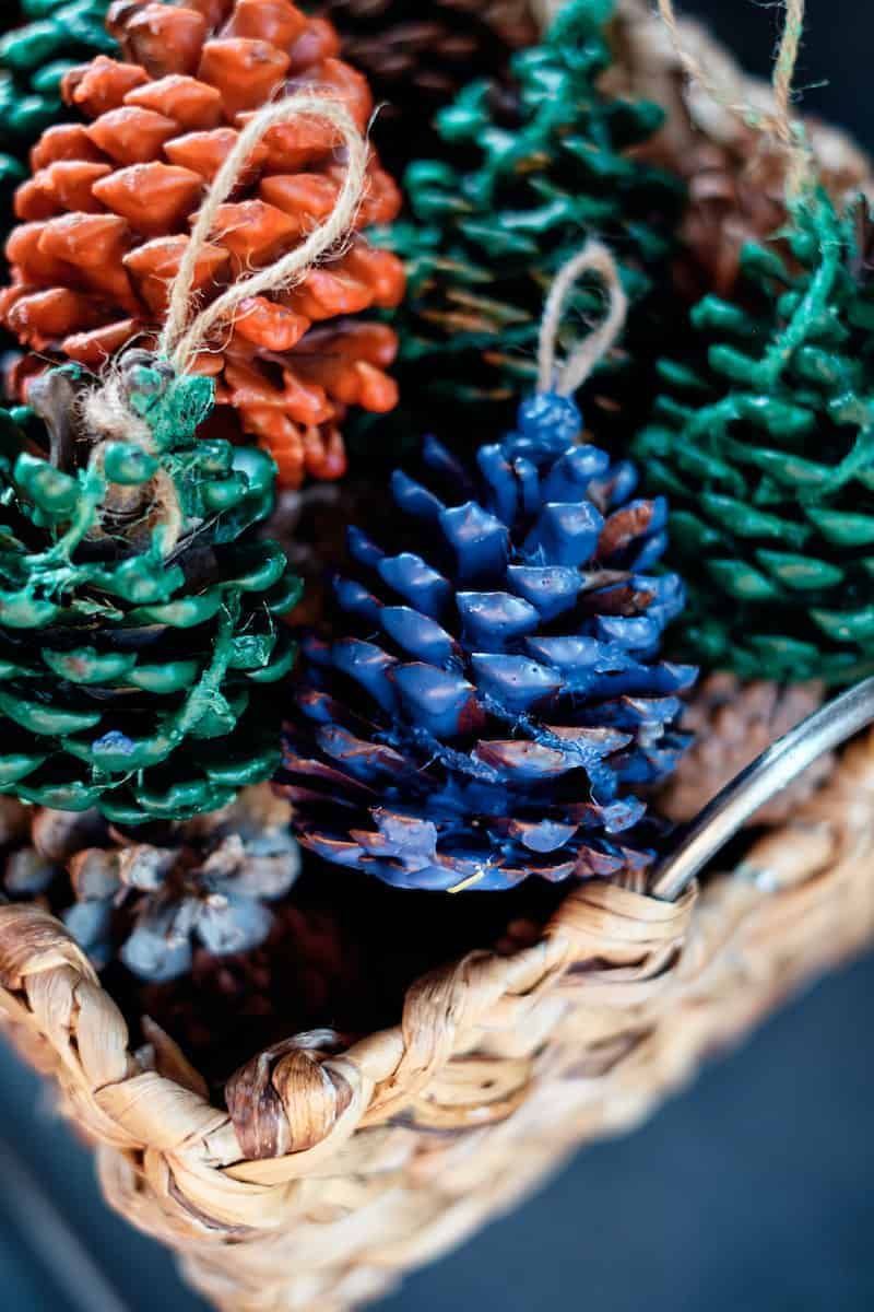Pinecone Fire Starters With Festive Wax