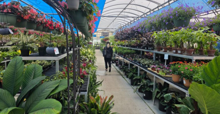 Ohio garden center