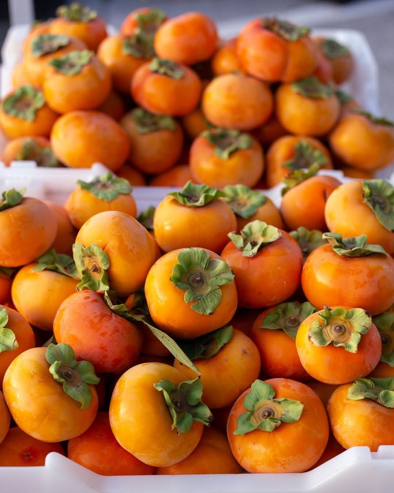 Persimmons