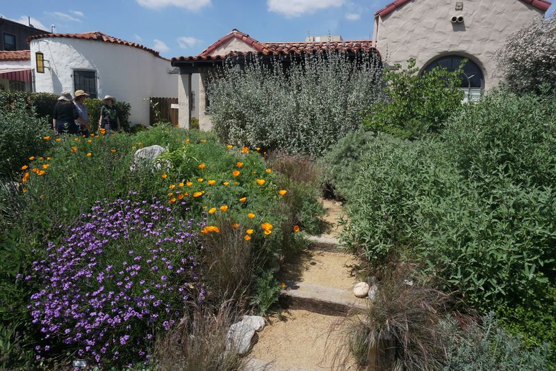 Reduced Carbon Footprint From Less Lawn Equipment