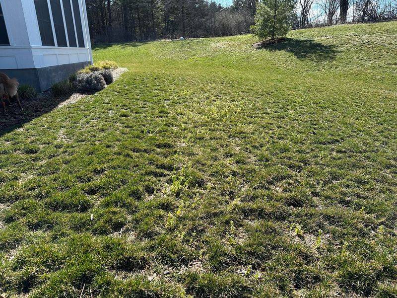 Simple Ways To Protect Your Yard During Winter