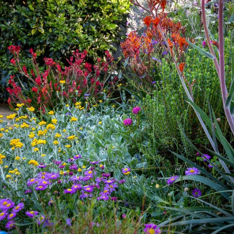 Grouping Plants By Water Needs Maximizes Efficiency