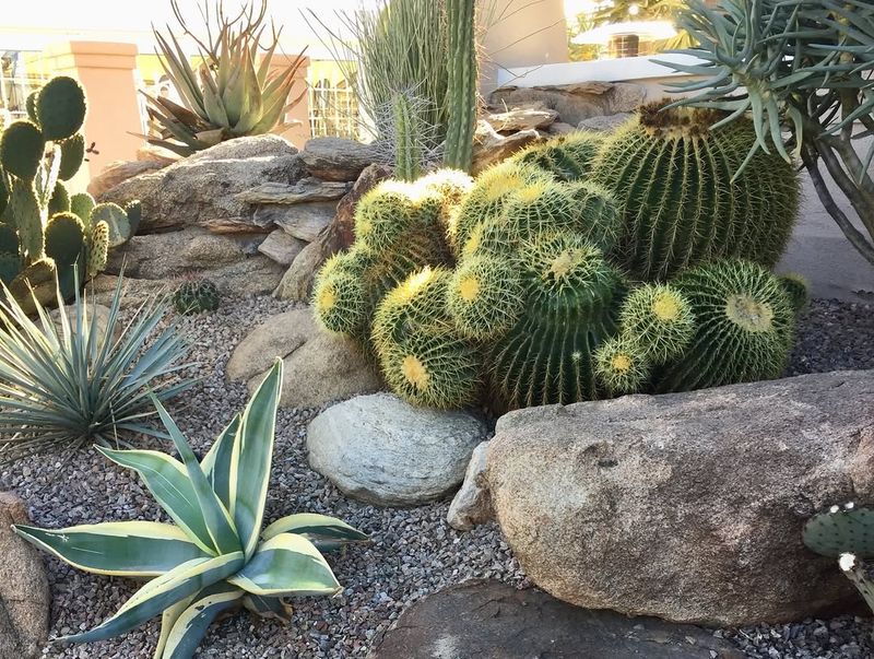 Rock Gardens with Desert Perennials
