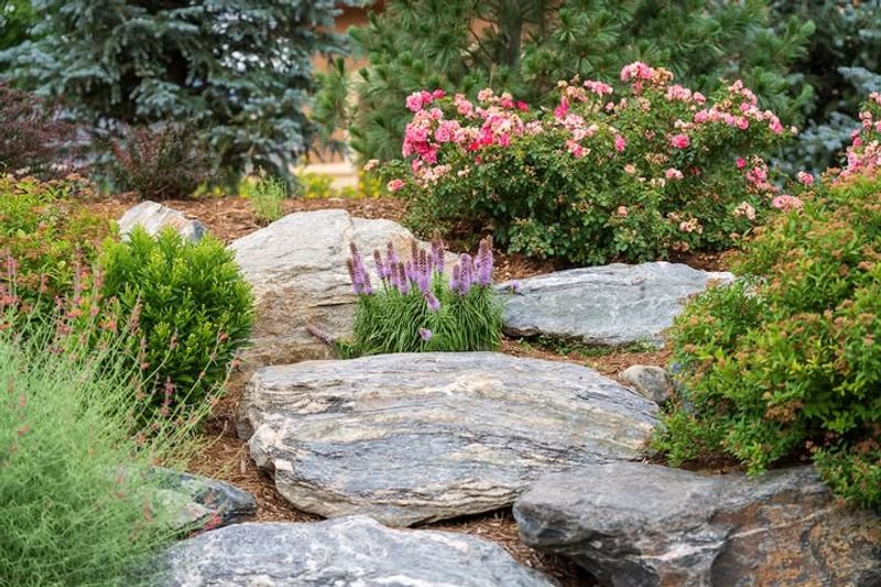 Xeriscaped Rock Gardens