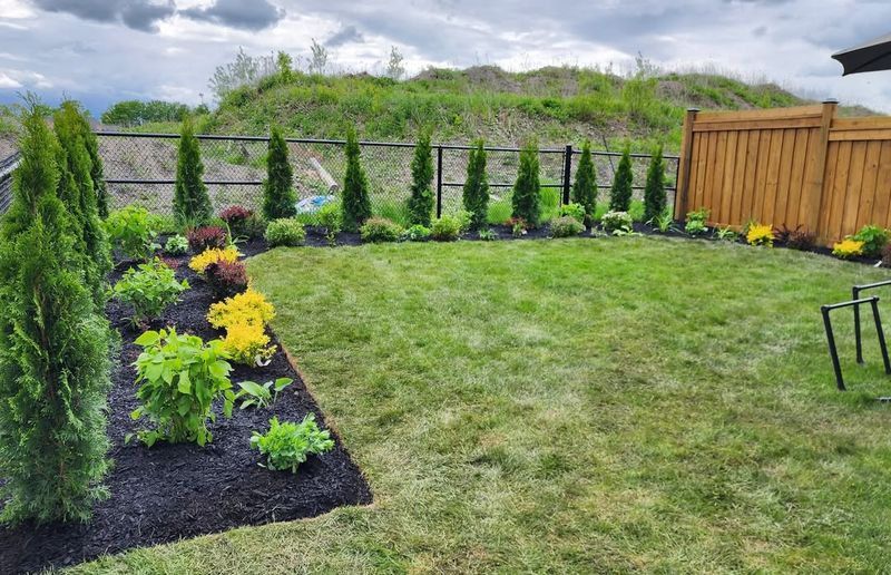 Increased Spacing Between Plants and Structures