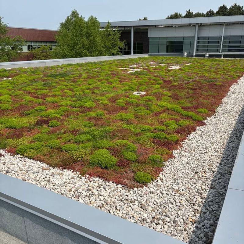 Inspect Your Drainage System Thoroughly