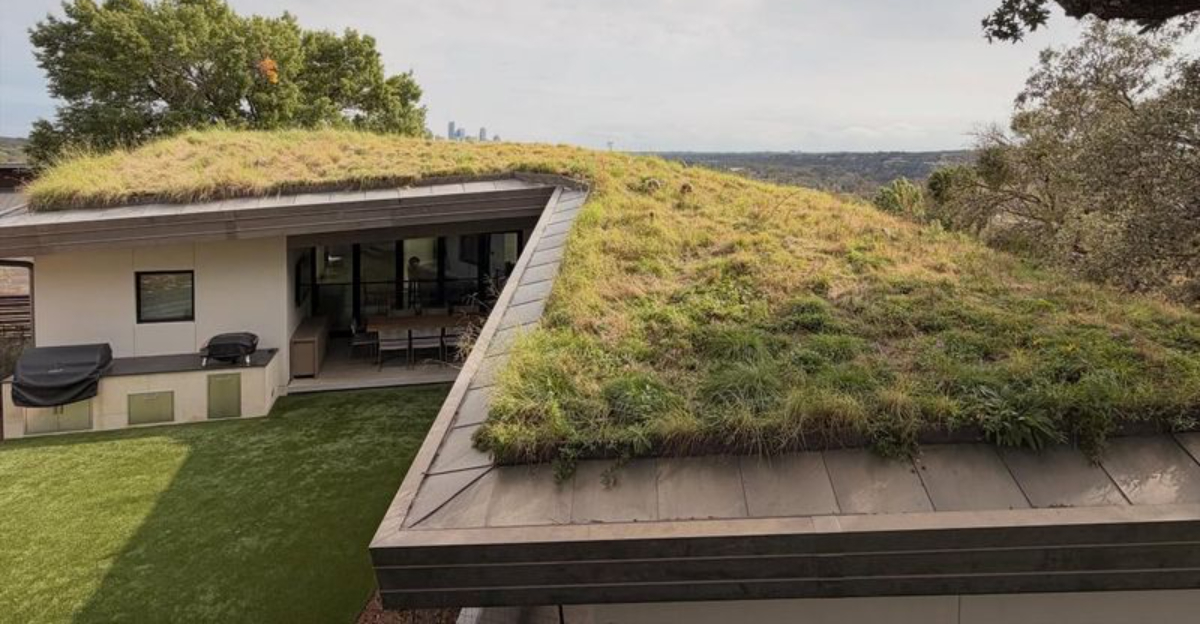 Green Roof Care Tips Georgia Homeowners Should Handle Before Winter