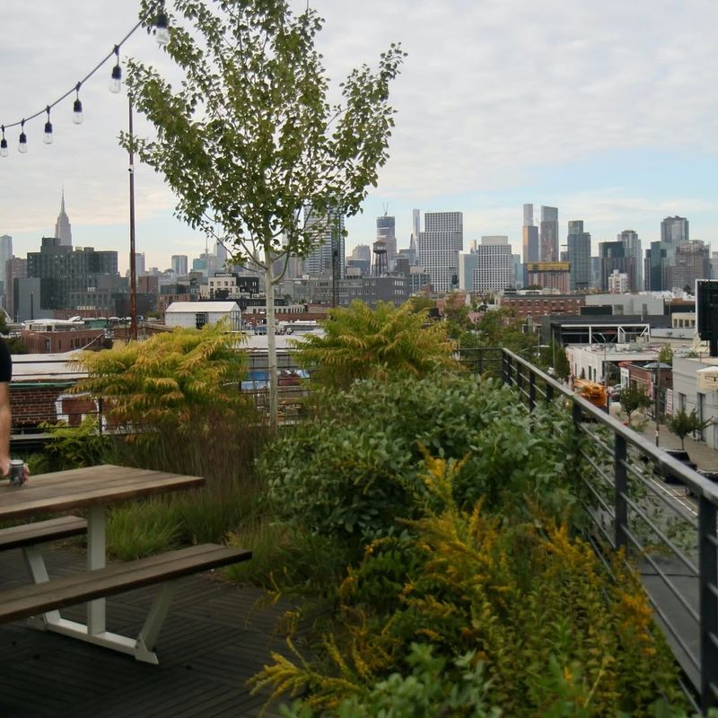 They Help Reduce Urban Heat Islands