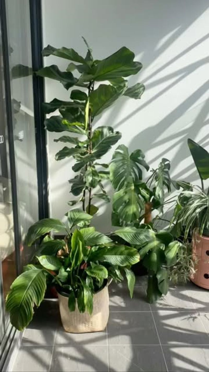 Transportation Costs Keep Rising for Late Shipments